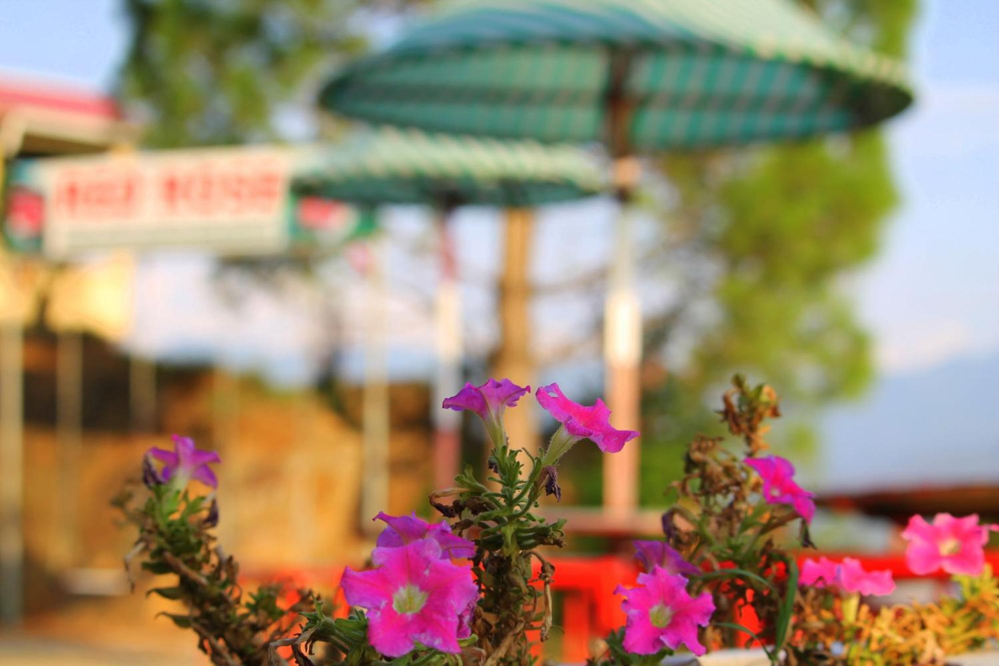 Red Rose Hotel & Resort Mansehra 외부 사진